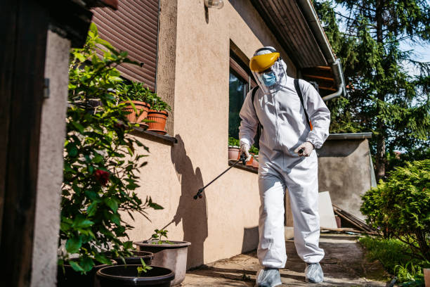 Best Local Pest Control Services  in Petersburg, WV