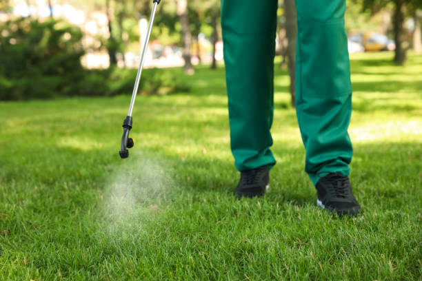 Best Best Pest Control Companies  in Petersburg, WV