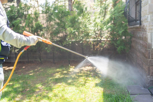 Reliable Petersburg, WV Pest Control Solutions