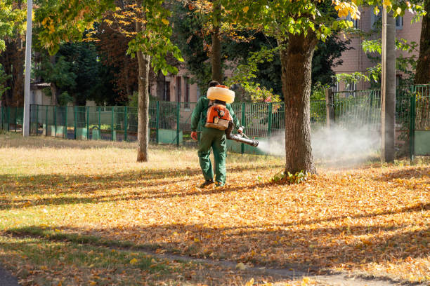 Best Mosquito Control Services  in Petersburg, WV