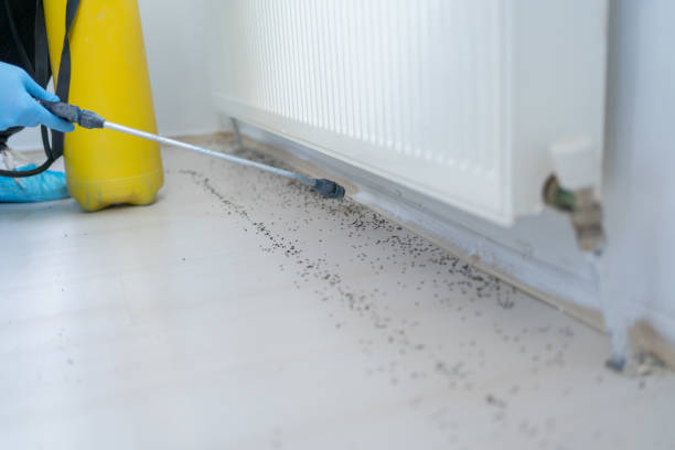 Best Exterminator Services  in Petersburg, WV